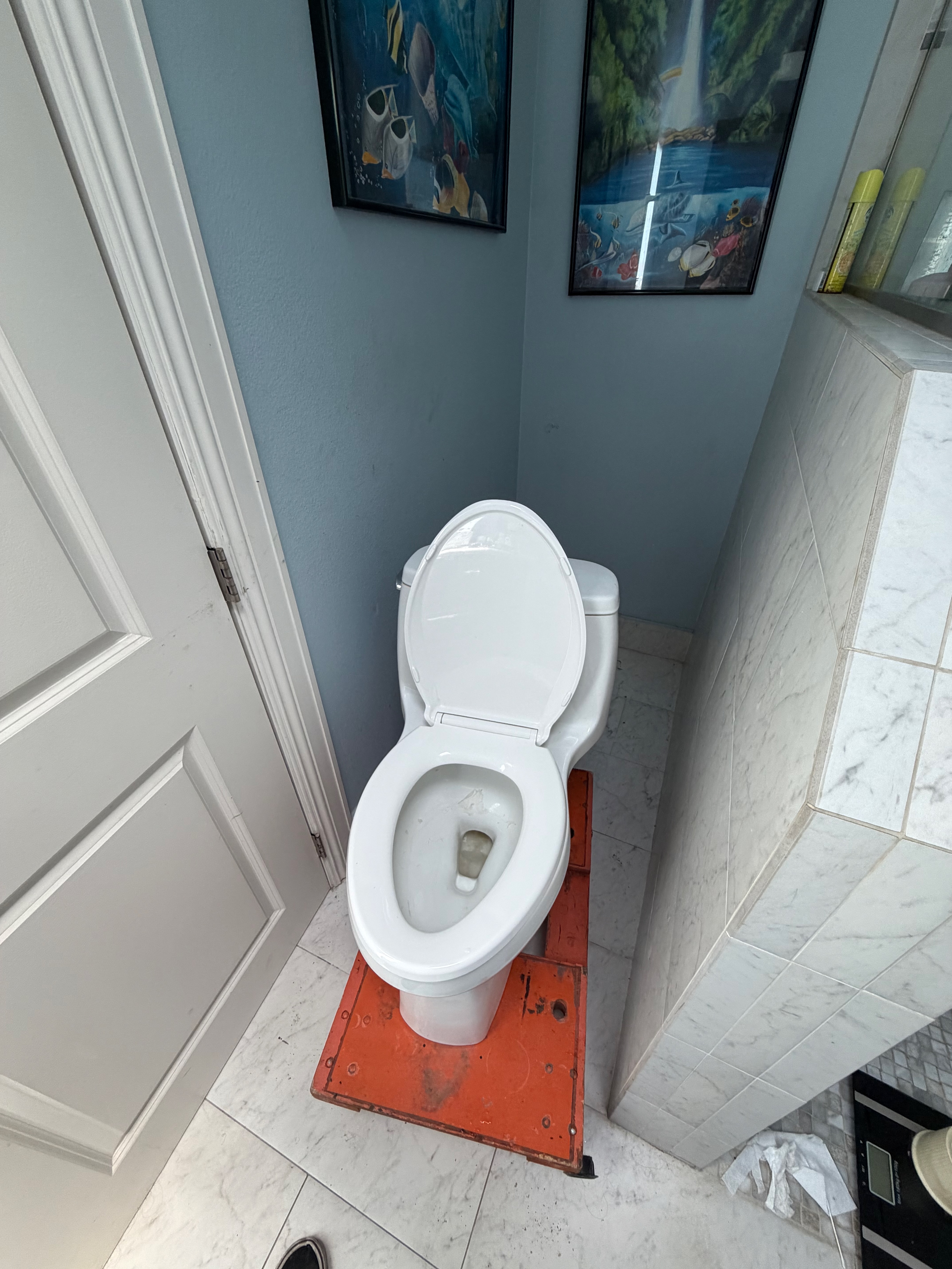 Old toilet being removed
